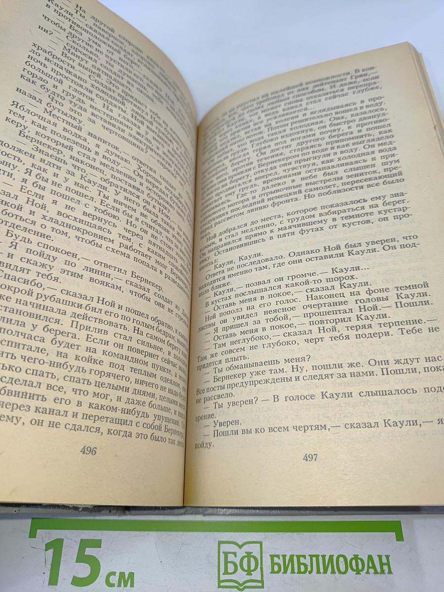 Молодые львы