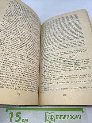 Молодые львы