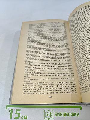 Молодые львы