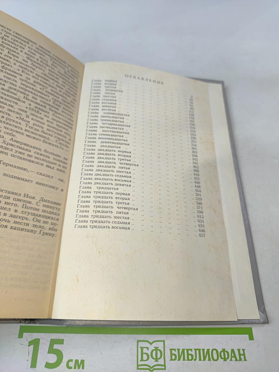 Молодые львы