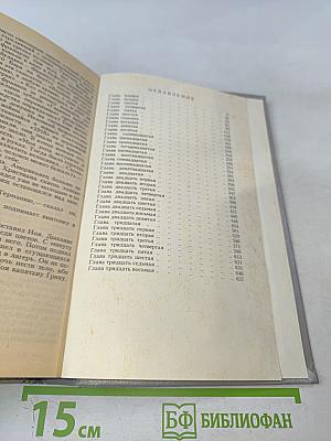 Молодые львы