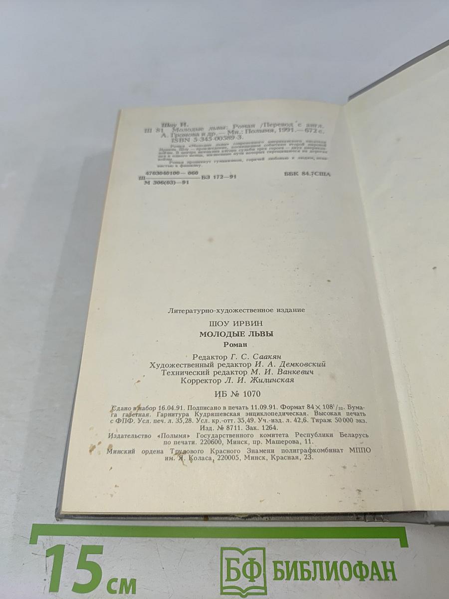 Молодые львы