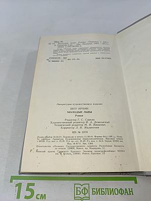 Молодые львы