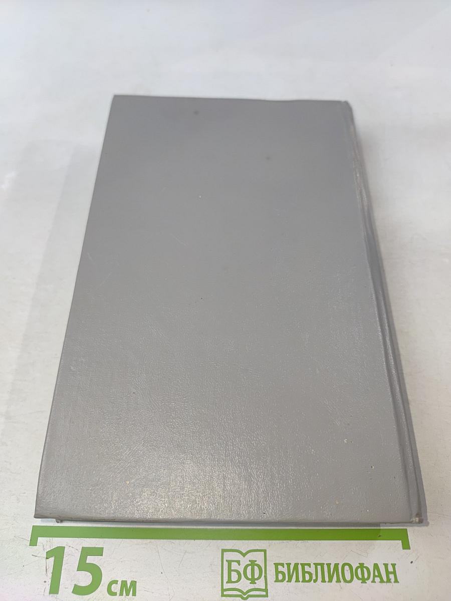 Молодые львы