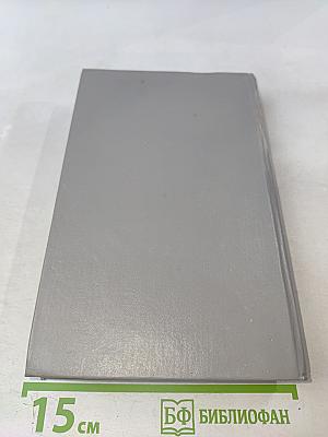 Молодые львы