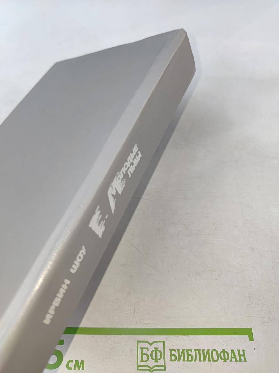 Молодые львы