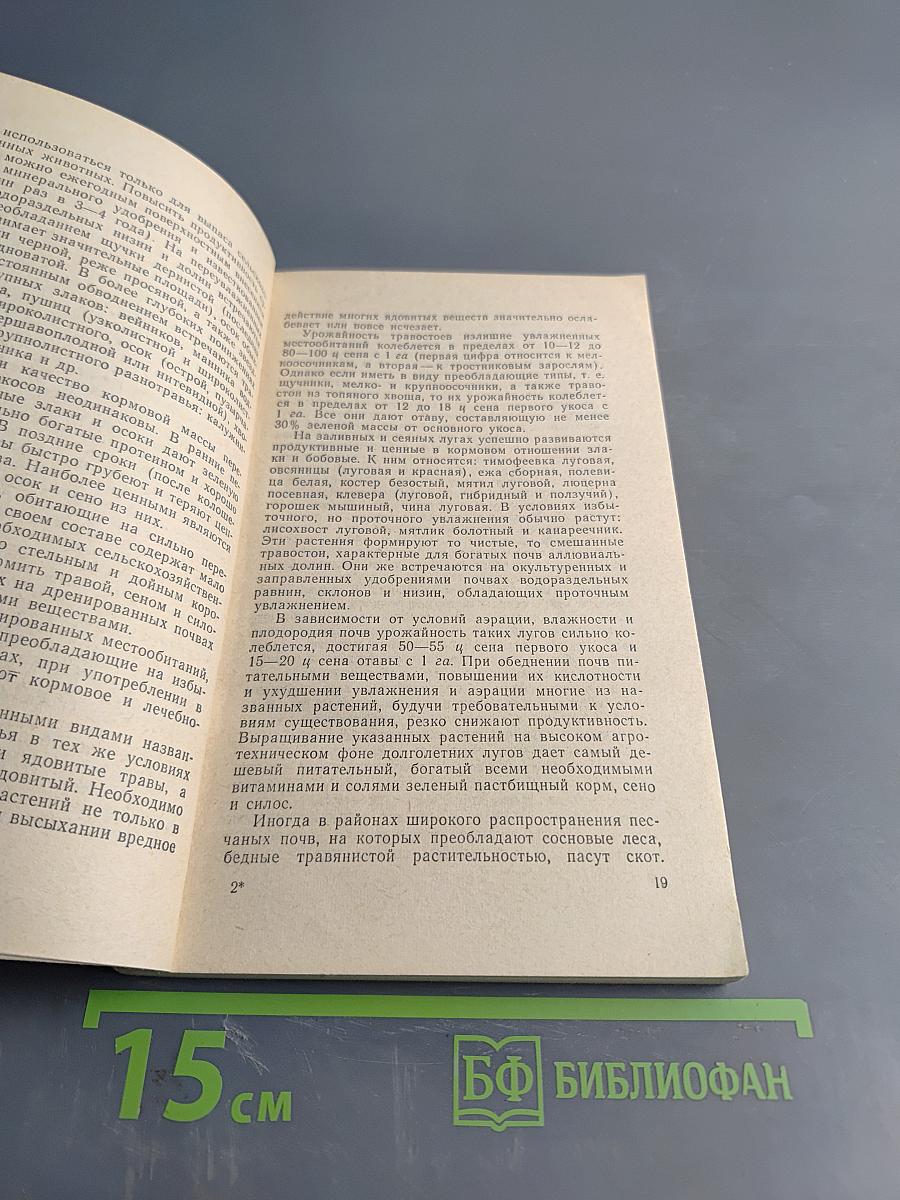 Полезные и вредные растения Ленинградской области