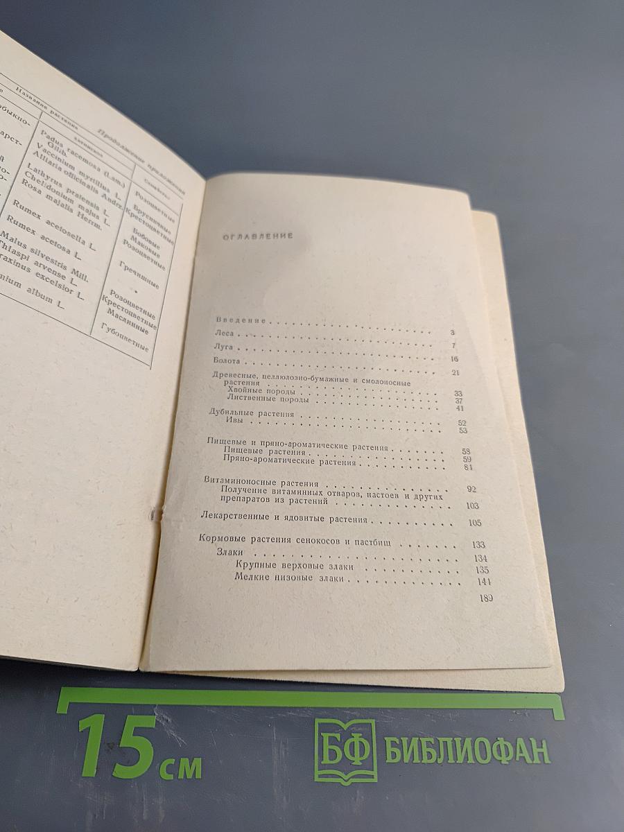 Полезные и вредные растения Ленинградской области