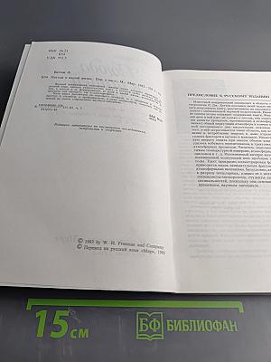 Погода в нашей жизни