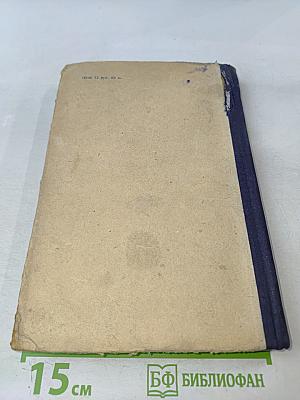 Современный английский язык. Теоретический курс