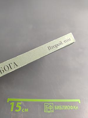 Евангелие Бога. Второй том