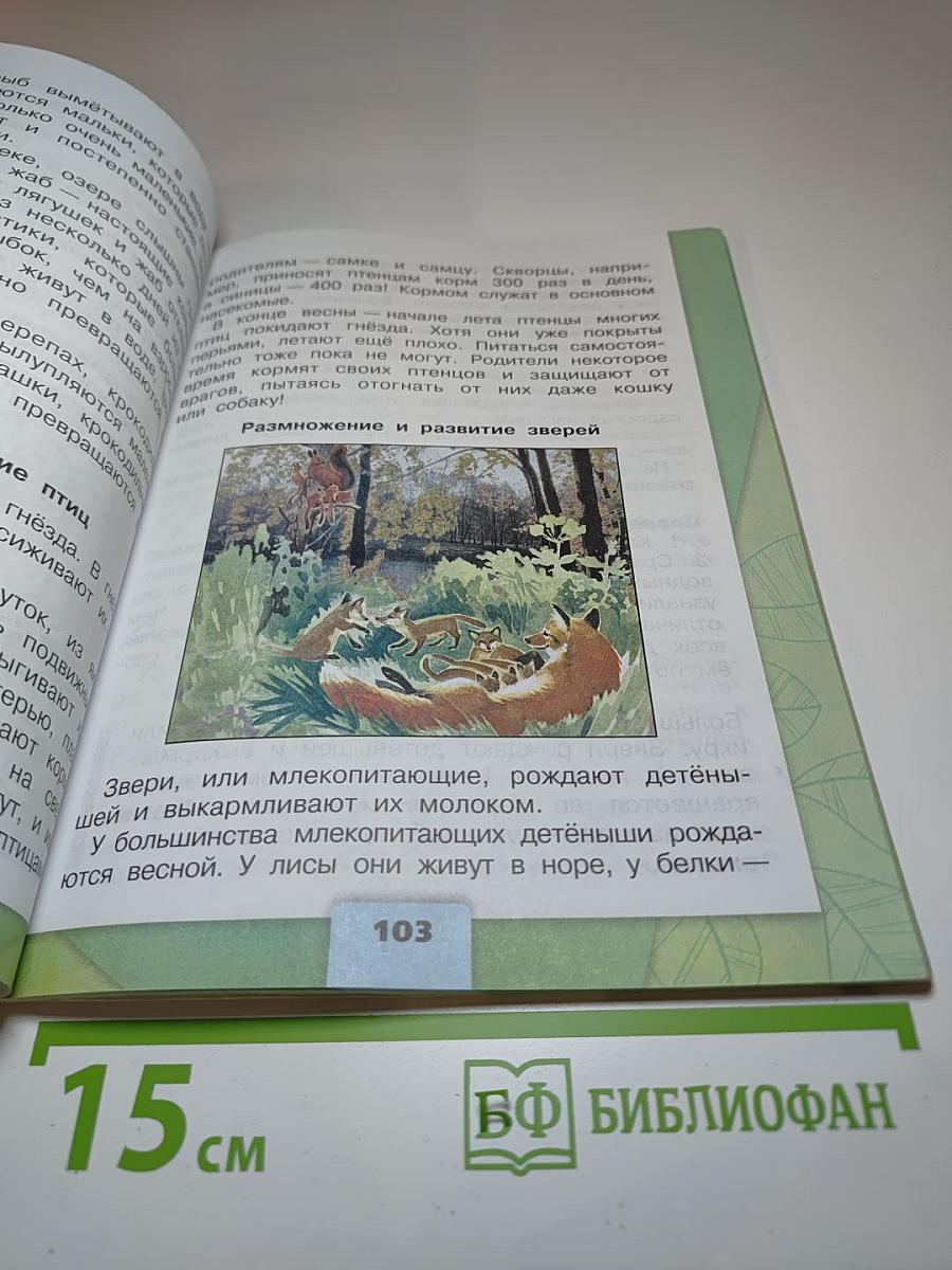 Окружающий мир. 3 класс. Часть 1