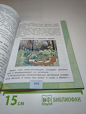 Окружающий мир. 3 класс. Часть 1