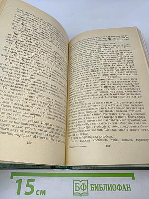 Пехотный капитан