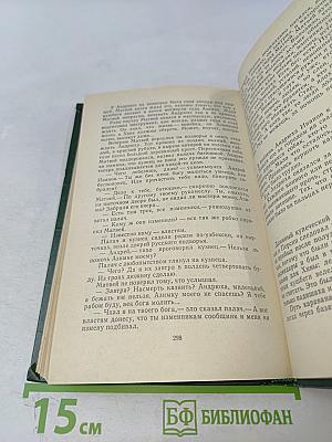 Пехотный капитан