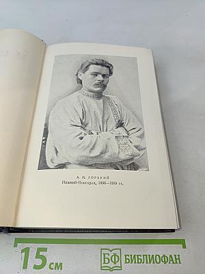 Собрание сочинений в 30 томах. Том 3. Рассказы 1895-1899