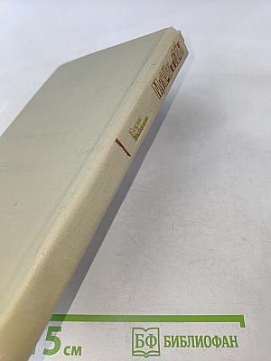 Мужики и бабы