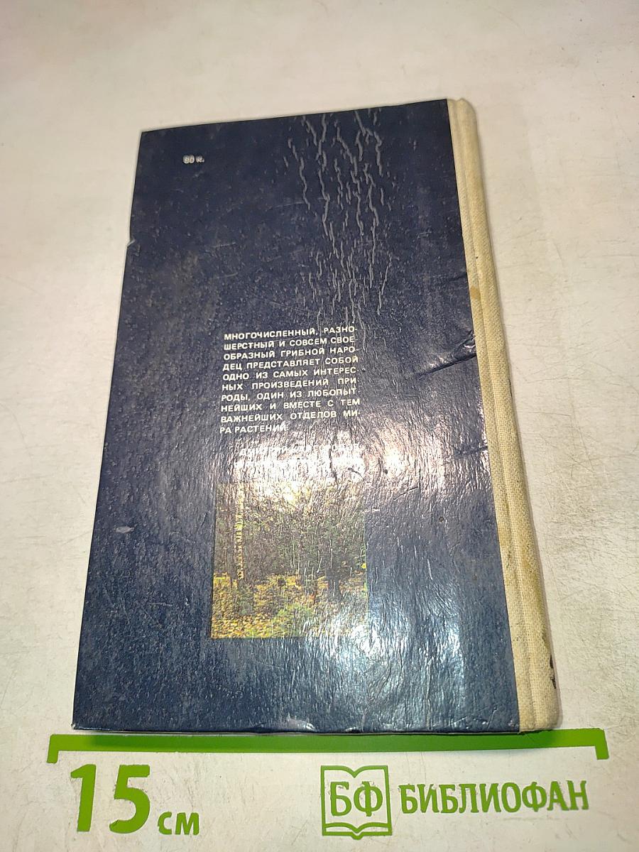 С полным лукошком