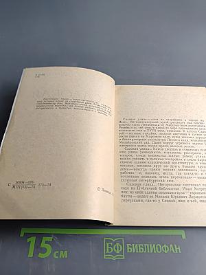 Садовая улица