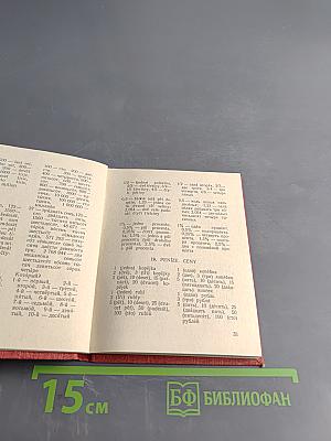 Чешско-русский разговорник