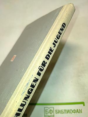 Erzählungen für die Jugend. Lese- und Übungsbuch