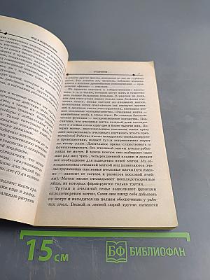 Мёд и медолечение