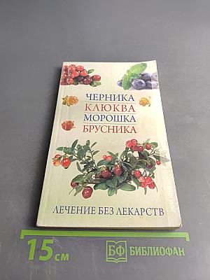 Черника, клюква, морошка, брусника. Лечение без лекарств