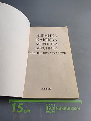 Черника, клюква, морошка, брусника. Лечение без лекарств