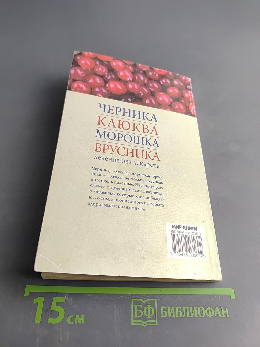 Черника, клюква, морошка, брусника. Лечение без лекарств