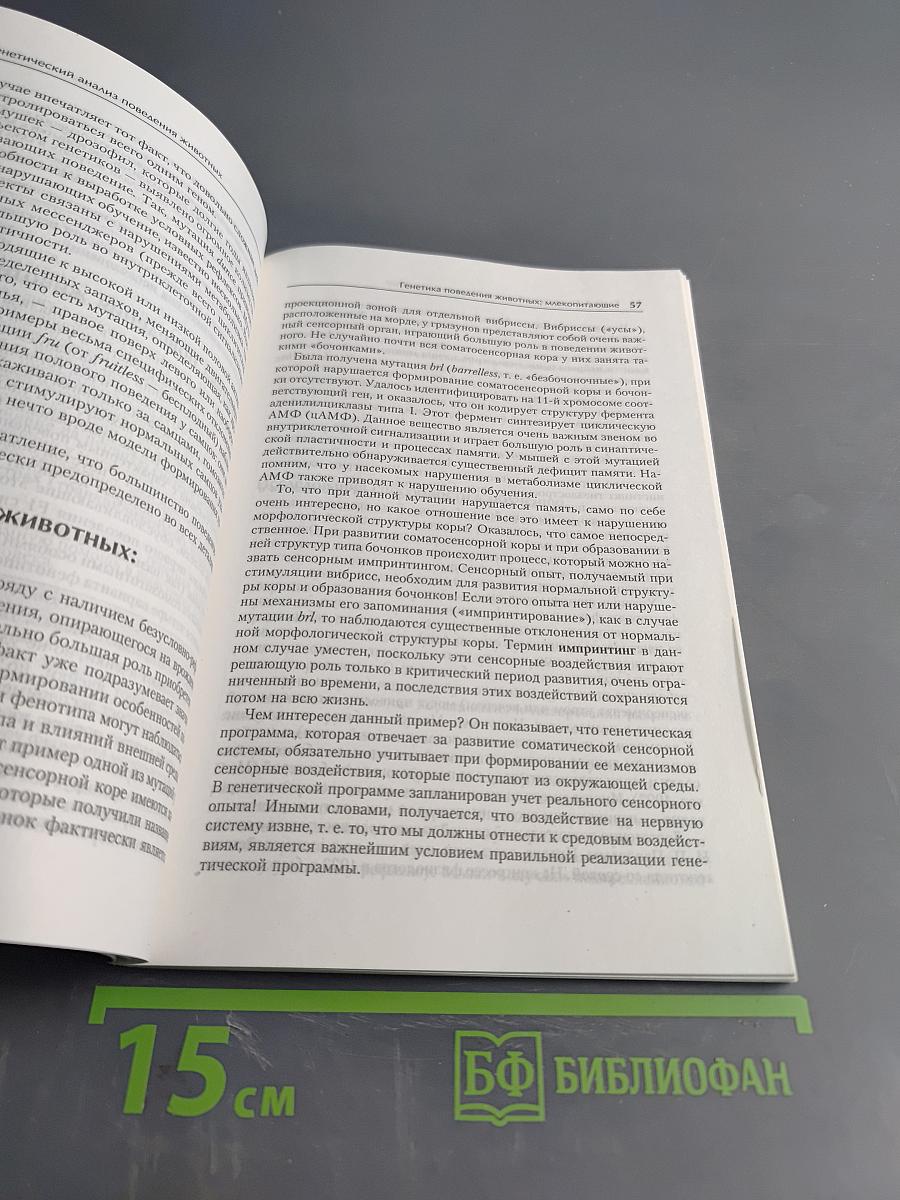 Психогенетика