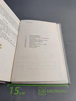 Мир Игоревой песни. Этюды