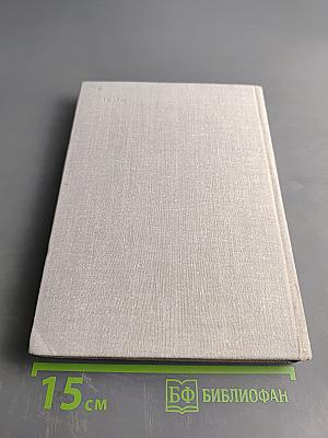 Мир Игоревой песни. Этюды