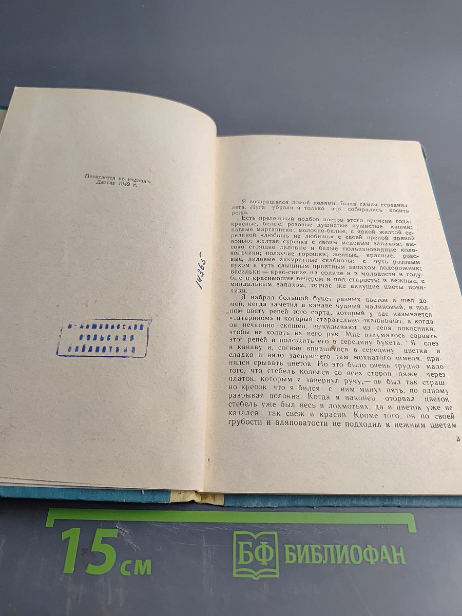 Хаджи-Мурат