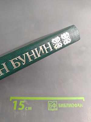 Собрание сочинений в шести томах. Том 3. Повести и рассказы (1912-1916)
