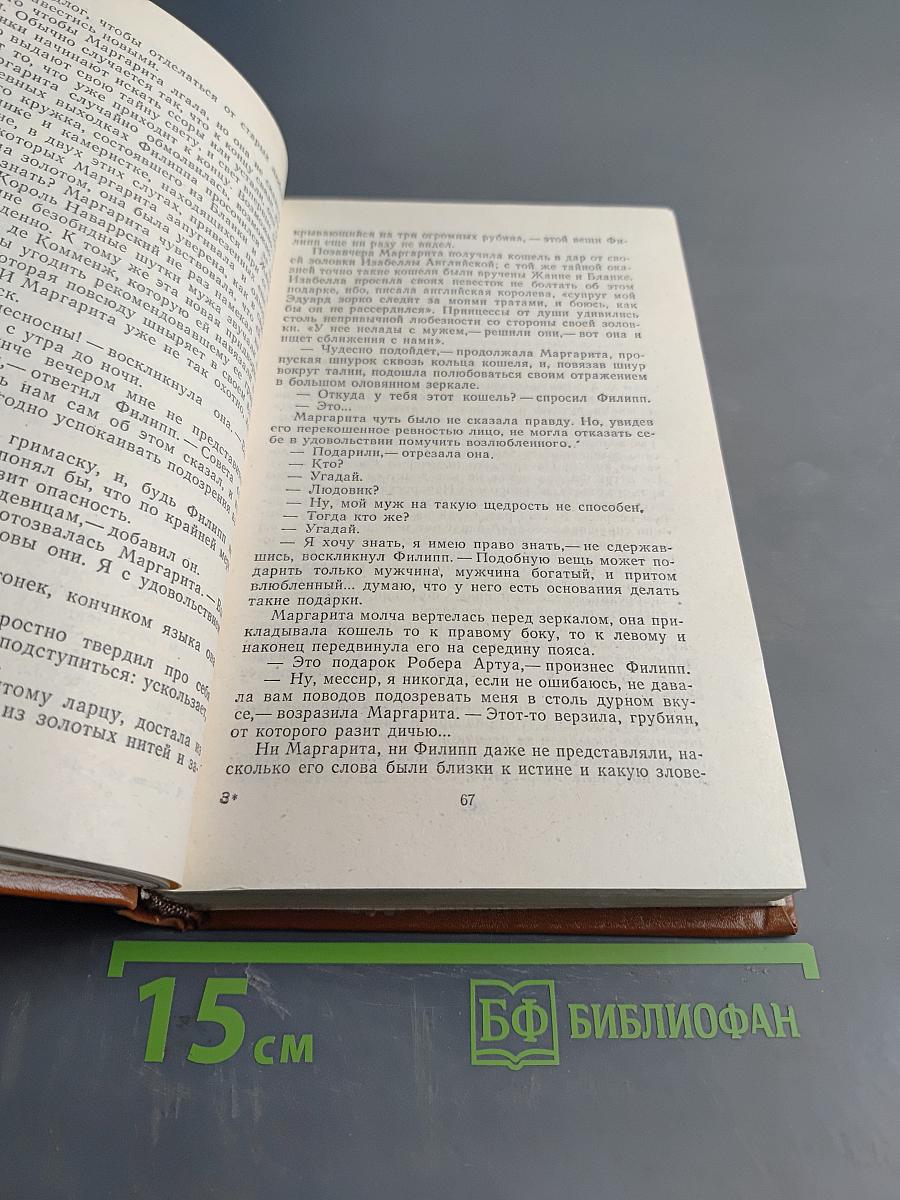 Железный король. Узница Шато-Тайафа