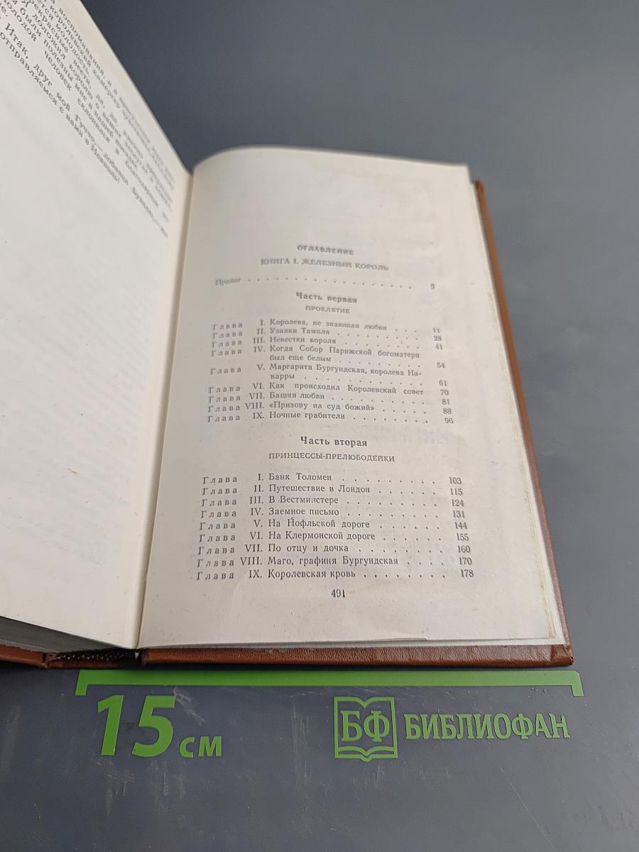 Железный король. Узница Шато-Тайафа