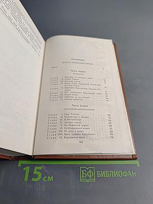 Железный король. Узница Шато-Тайафа