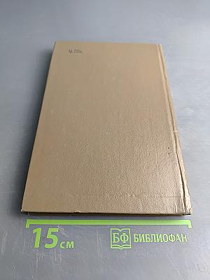 Вычислительная техника и обработка данных. Терминологический толковый словарь фирмы IBM