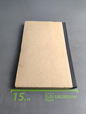 English Words and How to Use Them