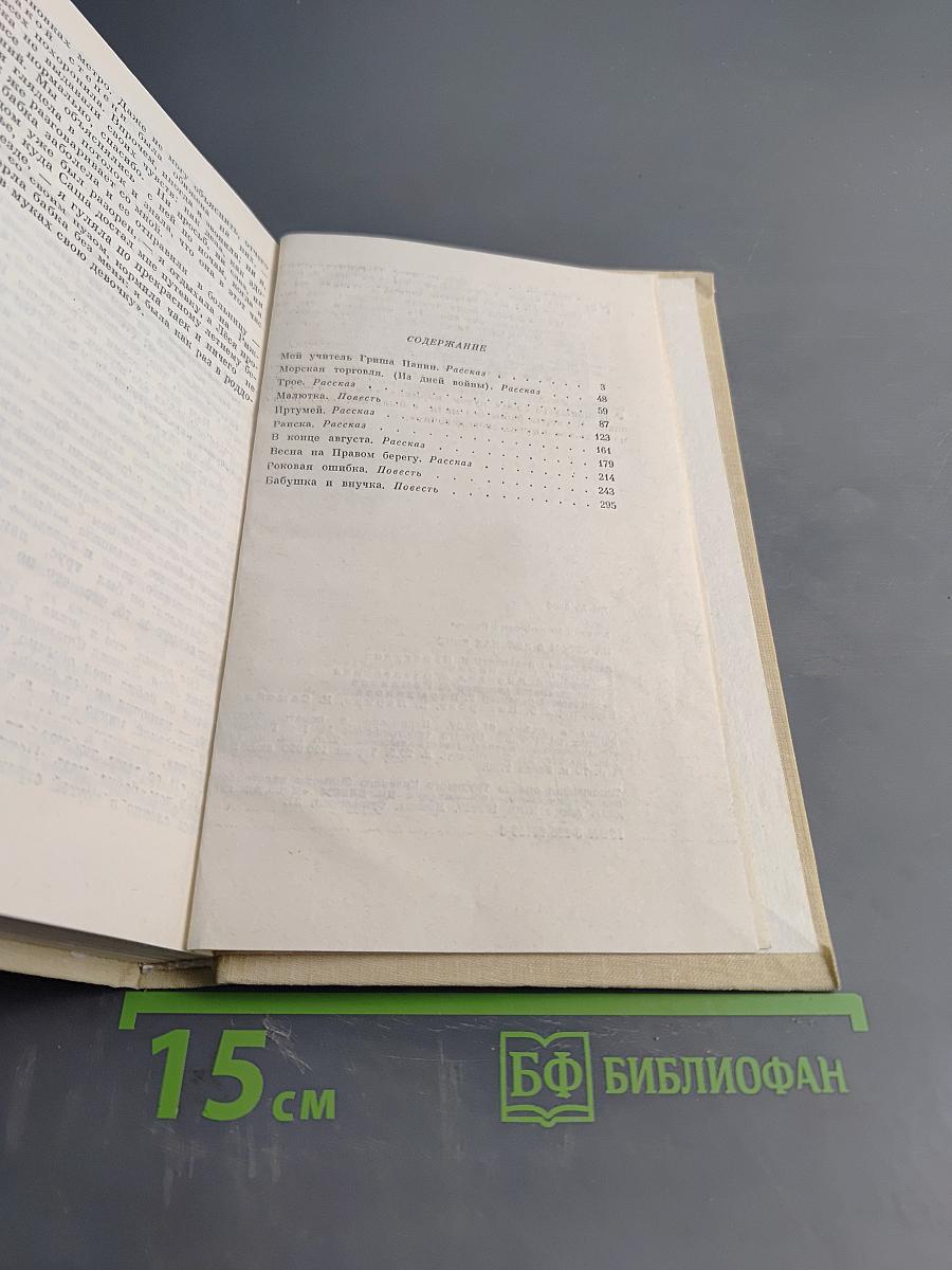 На сером в яблоках коне