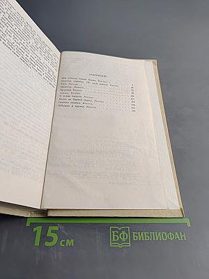 На сером в яблоках коне