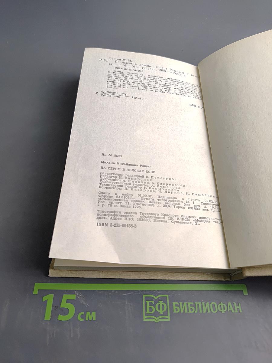 На сером в яблоках коне