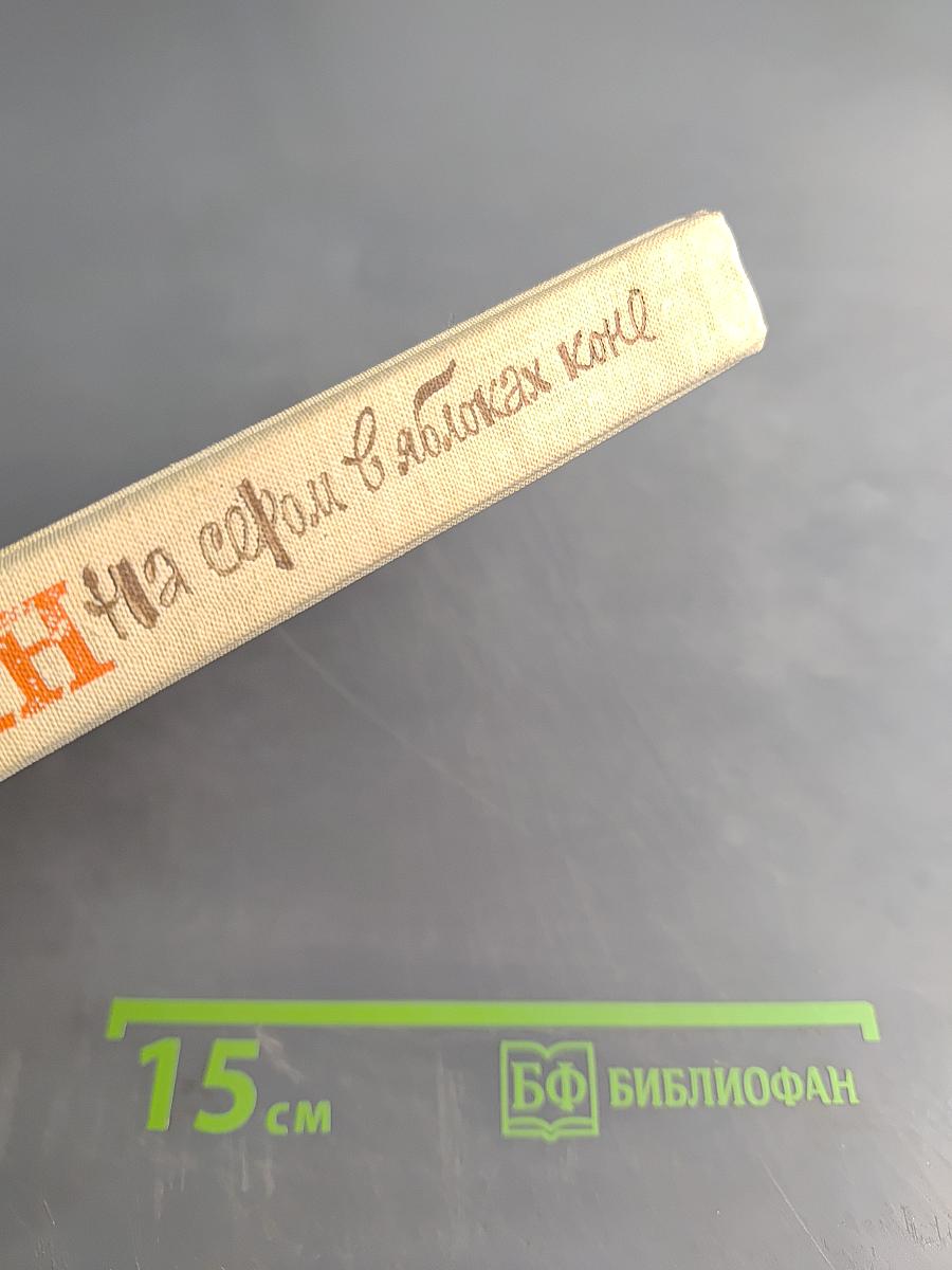 На сером в яблоках коне