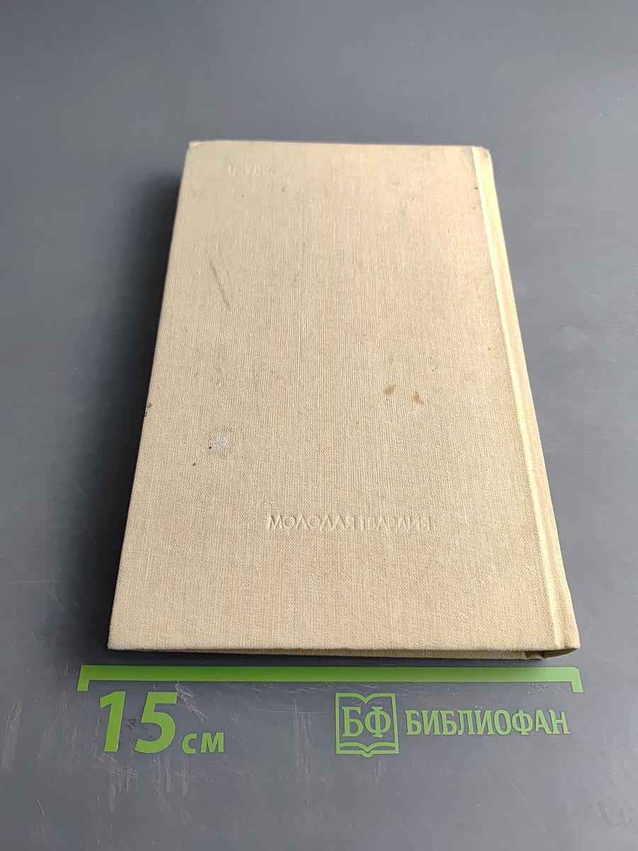 На сером в яблоках коне