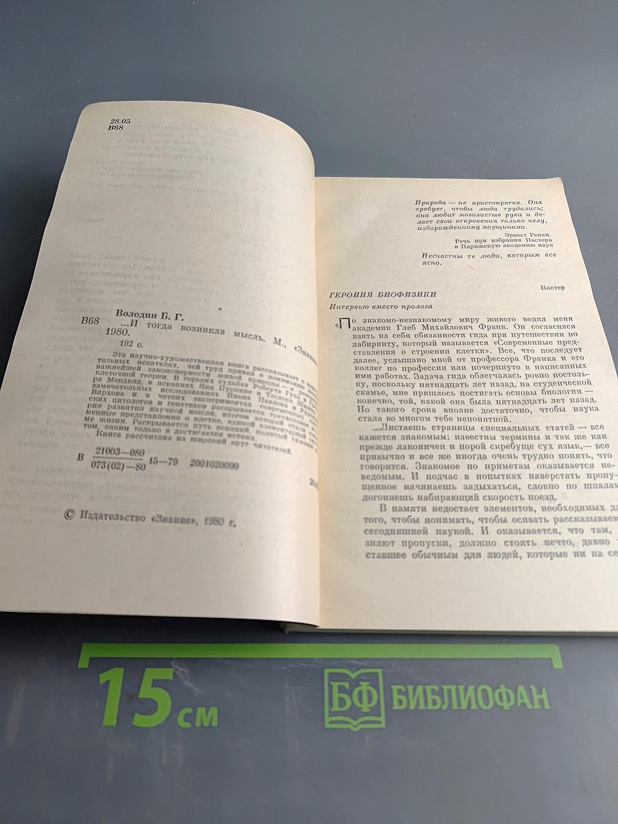 ...И тогда возникла мысль