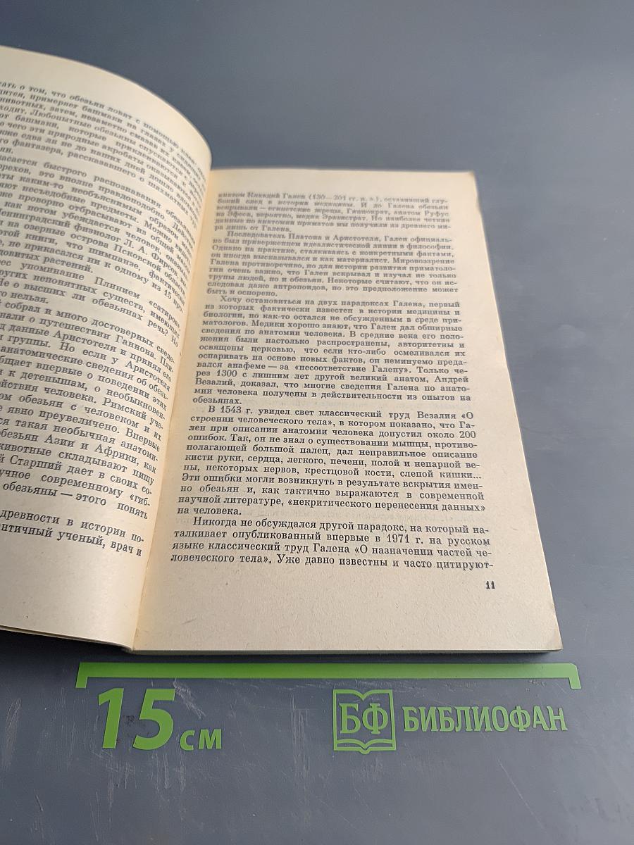 Приматы. Современные полуобезьяны, обезьяны и человек