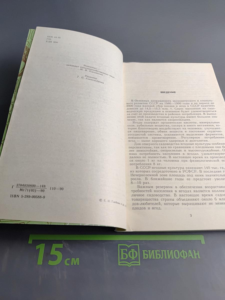 Ягодный сад