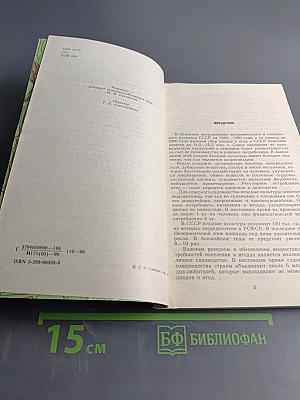 Ягодный сад