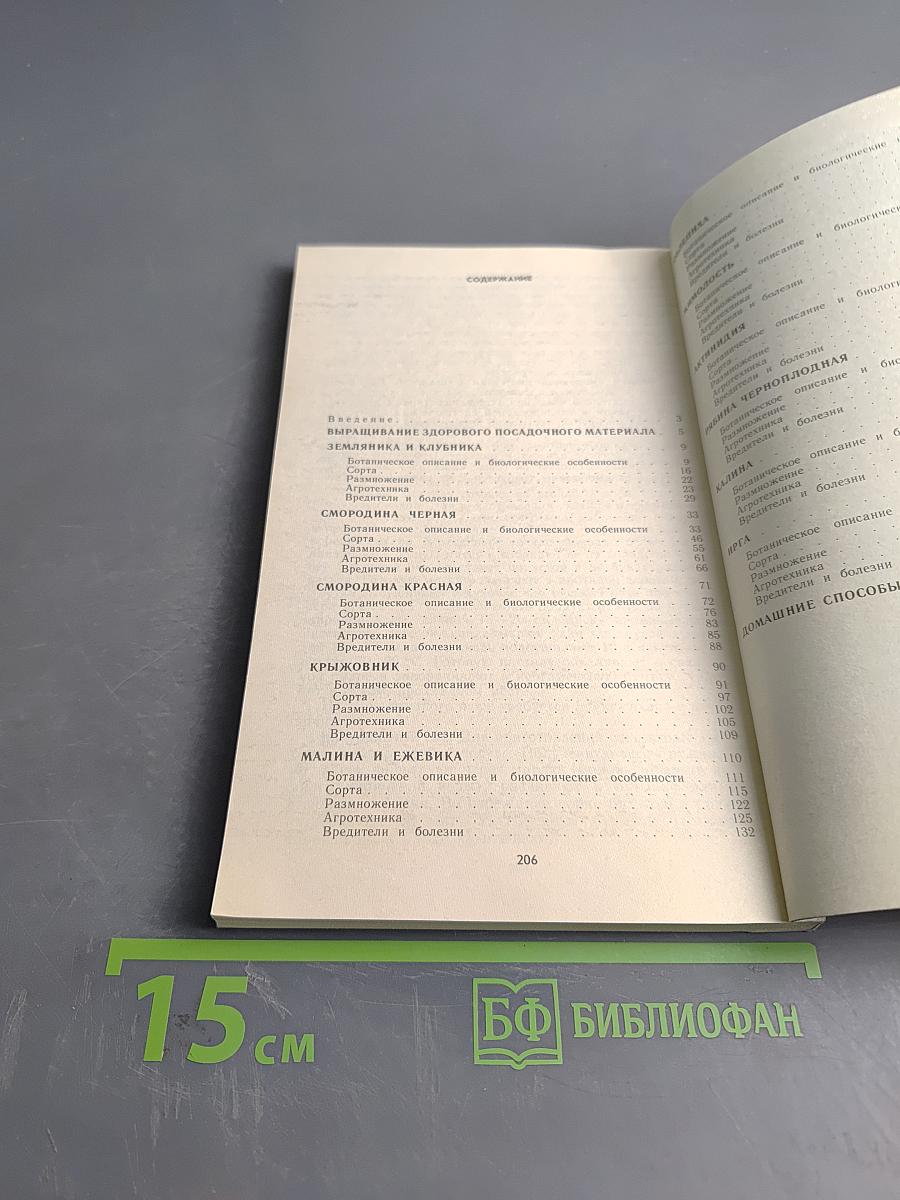 Ягодный сад