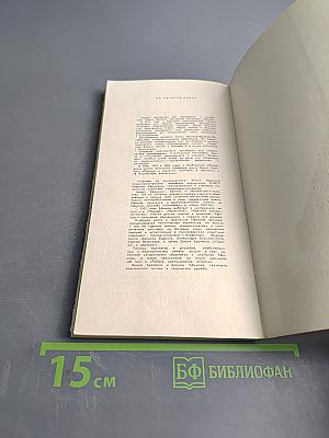 Отрывки из ненаписанного